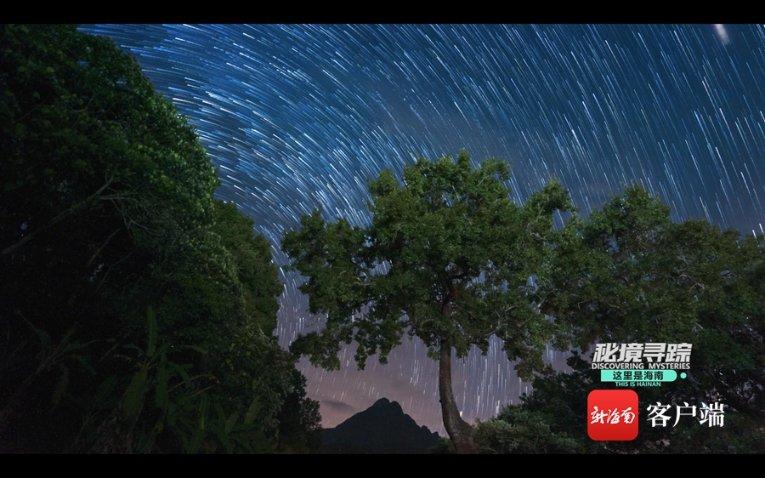 哈尔滨2023年游客破1.35亿人次 旅游总收入达1692亿元同比增239.03%