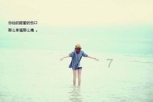 动物帮帮忙保卫家园